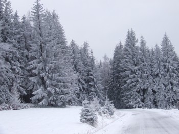 Penjsonat Śnieżka SPA*** Karpacz