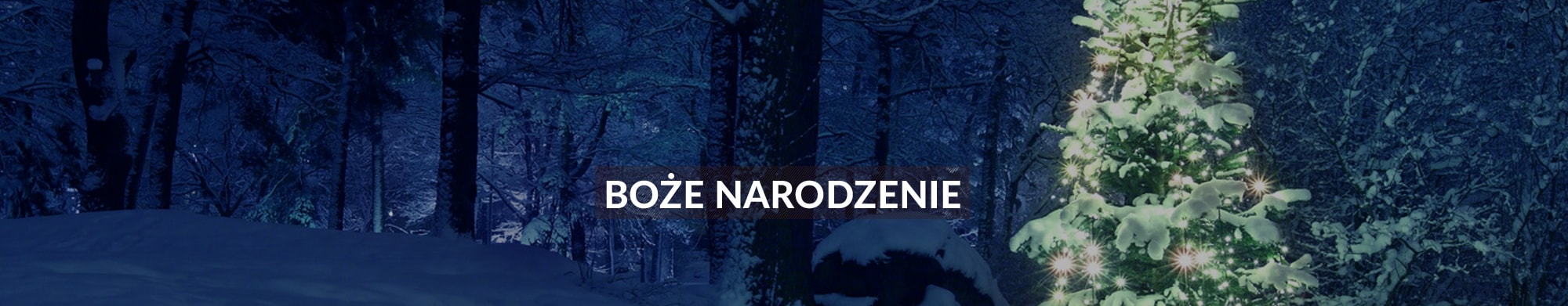Boże Narodzenie w pensonacie Śnieżka SPA*** Karpacz